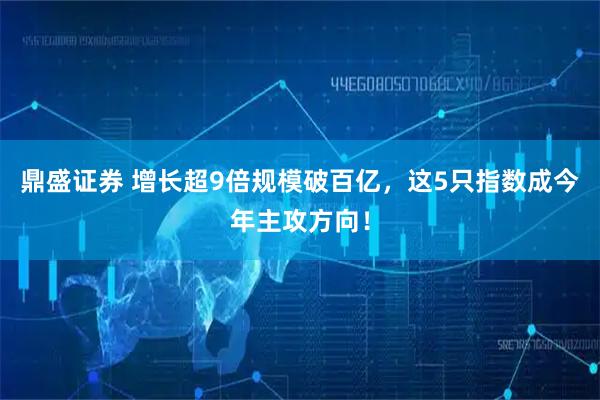 鼎盛证券 增长超9倍规模破百亿，这5只指数成今年主攻方向！