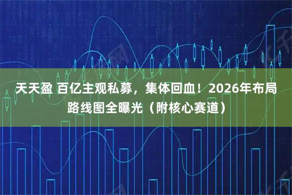 天天盈 百亿主观私募，集体回血！2026年布局路线图全曝光（附核心赛道）